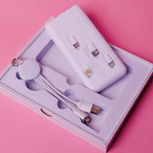 Home 41 Branded power bank in kenya