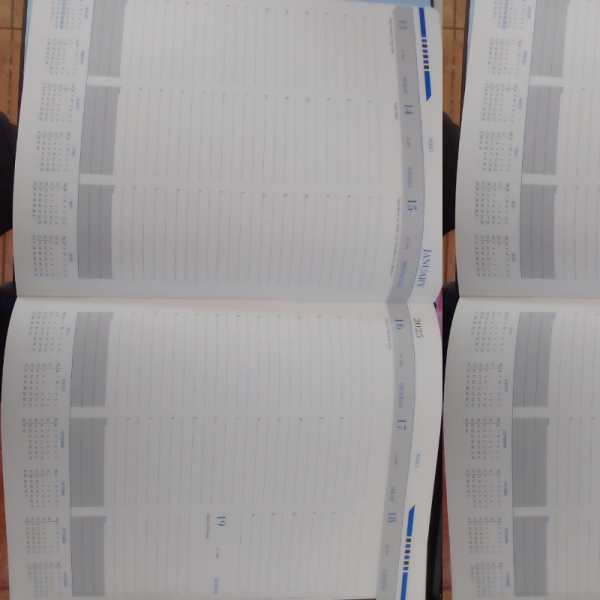 Customized weekly management diary - image 3