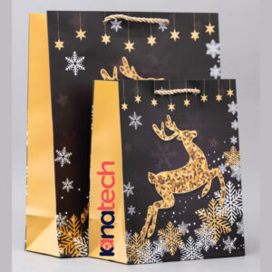 Christmas Theme Gift Bags