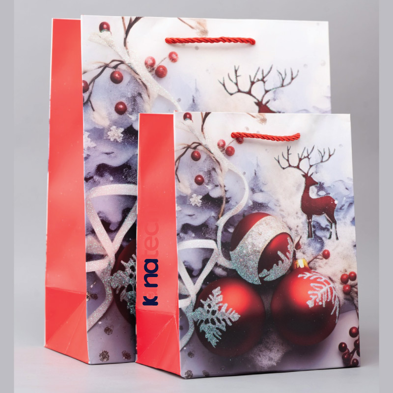 Seasonal Corporate Gift Bags 2 Kshs&Nbsp;130.00 Seasonal corporate gift bags - image 2